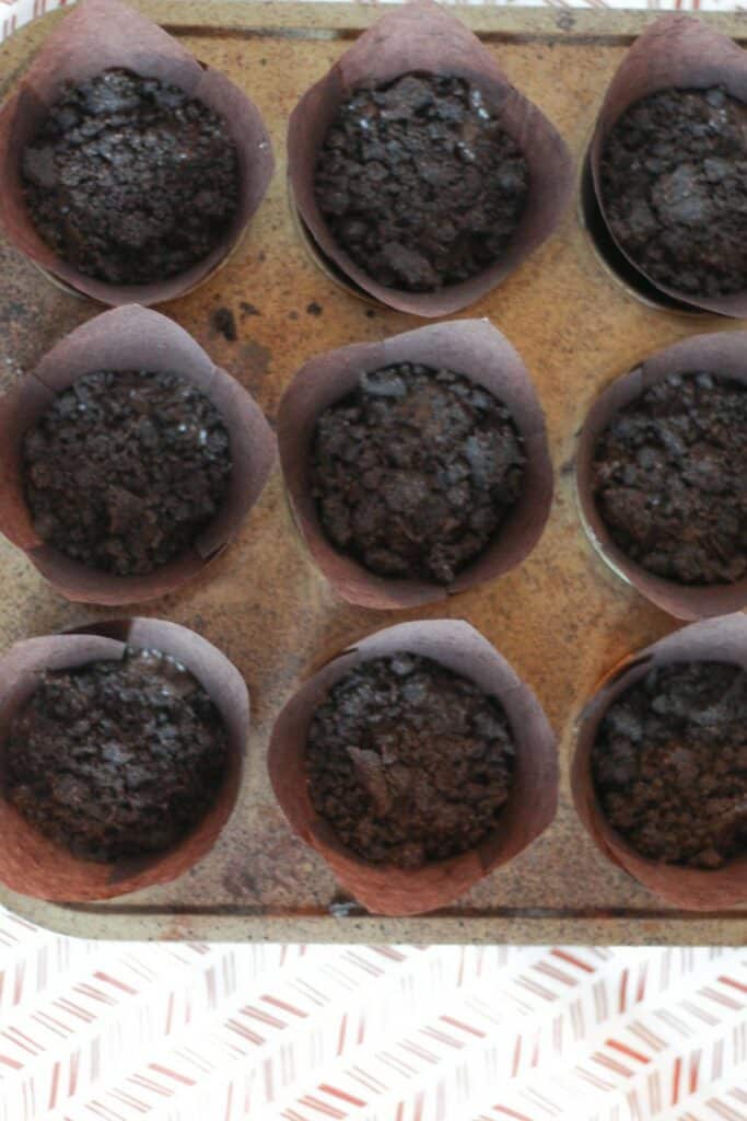 Chocolate Blueberry Muffins 1