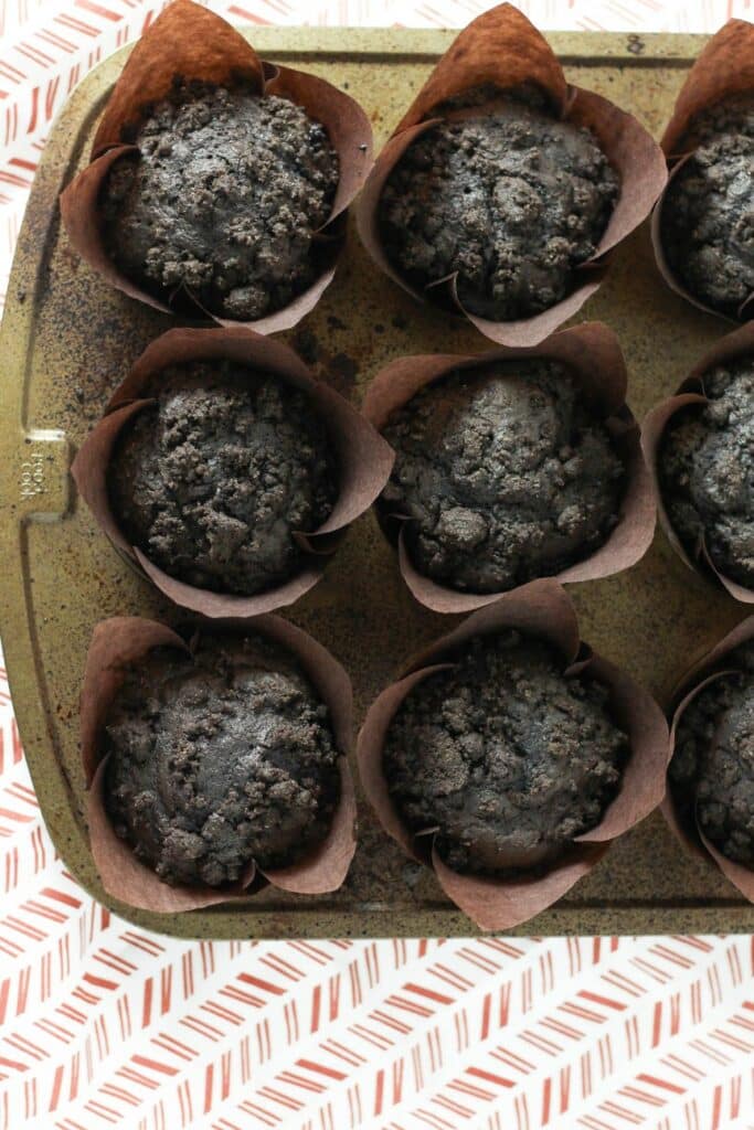 Chocolate Blueberry Muffins 2