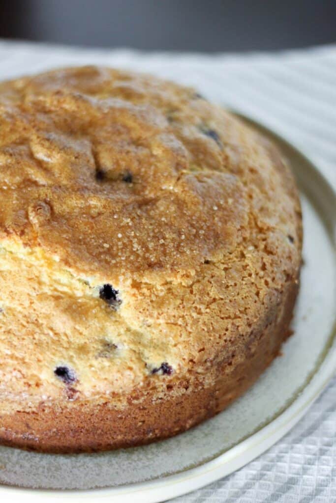 Blueberry Ricotta Cake | High-altitude Cake recipe