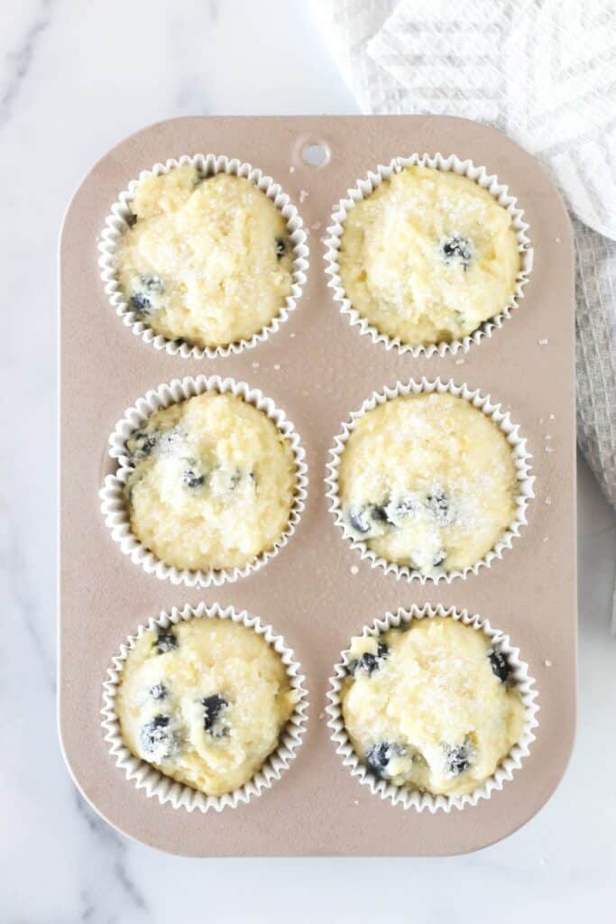 Best High Altitude Blueberry Muffins