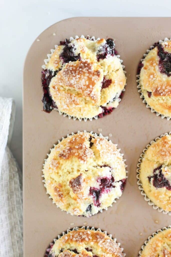 Perfect High Altitude Blueberry Muffins