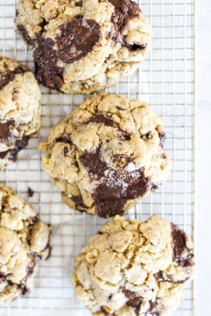High Altitude Oatmeal Cookies With Chocolate